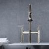 Pull Down Double Handle Kitchen Faucet